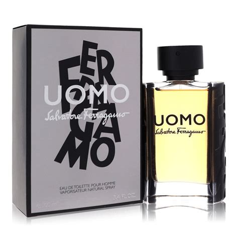 ferragamo uomo 100 ml edt spray|ferragamo uomo signature for men.